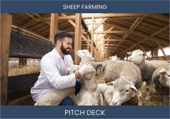 Sheep Farming Deck – Invest in Sustainable Livestock for Profitable Returns