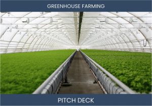 Revolutionize Agri-Business with Greenhouse Farming: Investor Pitch Deck