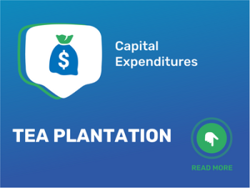 How Much Does It Cost to Start a Tea Plantation: Unveiling the Capital Expenditures
