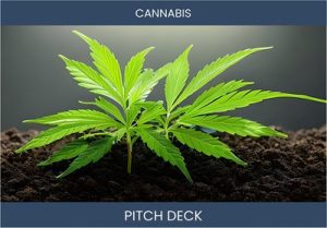 Cannabis Farming: A Lucrative Opportunity for Investors