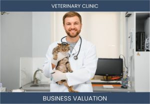 Valuing a Veterinary Clinic: What Factors to Consider