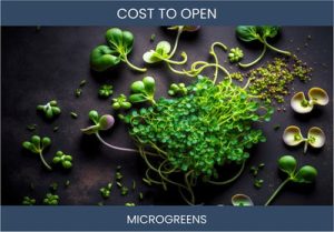 How Much Does It Cost To Start Microgreens Farming Business