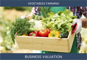 Valuing a Vegetable Farming Business: Essential Considerations and Methods