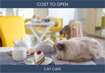 How Much Does It Cost To Start Cat Cafe
