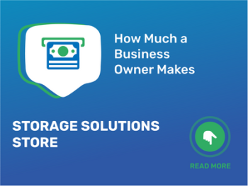 How Much Storage Solutions Store Business Owner Make?