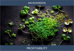 All You Need to Know About Starting a Profitable Microgreen Business