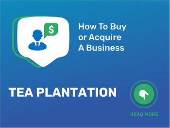 Tea Plantation Business Acquisition: Essential Checklist!