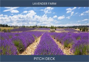 Lavender Farming Investment Opportunity: Profitable and Sustainable!