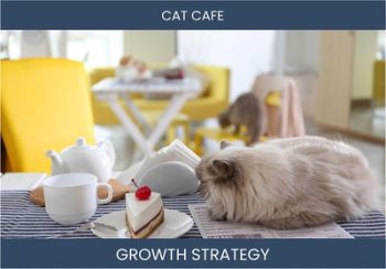 Boost Your Cat Cafe Sales: Profitable Strategies