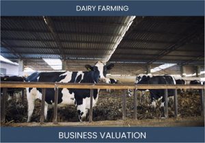 Valuing a Dairy Farming Business: Important Considerations and Valuation Methods
