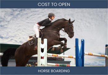 How Much Does It Cost To Start Horse Boarding