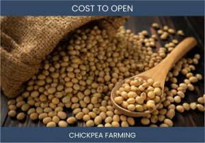 How Much Does It Cost To Start Chickpea Farming