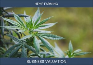 Valuing Your Hemp Farm Business: Important Considerations and Methods