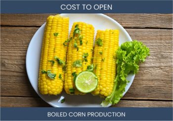 How Much Does It Cost To Start Boiled Corn Production Business