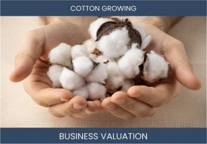 Valuing a Cotton Farming Business: Key Considerations and Valuation Methods