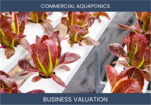 Valuing an Aquaponics Business: Considerations and Methods