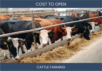 How Much Does It Cost To Start Cattle Farming