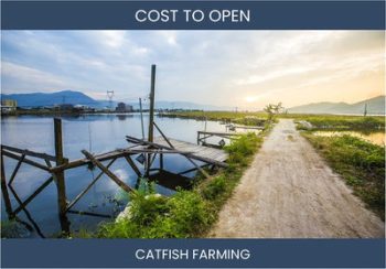 How Much Does It Cost To Start Catfish Farming