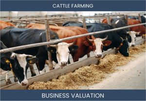 Valuing a Cattle Farming Business: Key Considerations and Methods