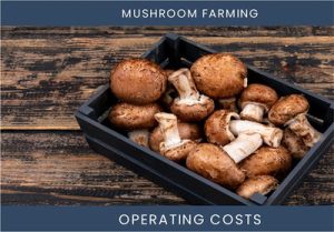 Mushroom Farming Operating Costs