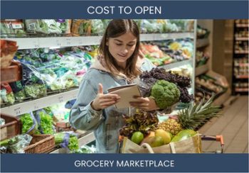 How Much Does It Cost To Start Grocery Marketplace