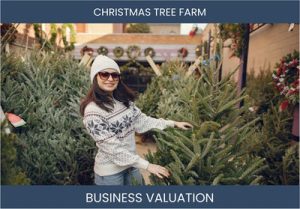 Valuing Your Christmas Tree Farm Business: Key Factors and Methods