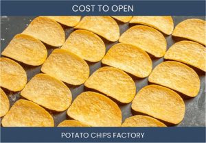 How Much Does It Cost To Start Potato Chips Factory