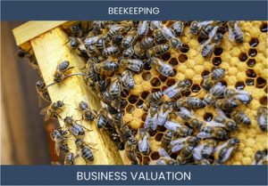 Valuing Your Beekeeping Business: Key Considerations and Methods