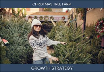 Boost Your Xmas Tree Farm Sales & Profit - Proven Strategies