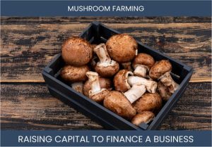 The Complete Guide To Mushrooms Farming Business Financing And Raising Capital