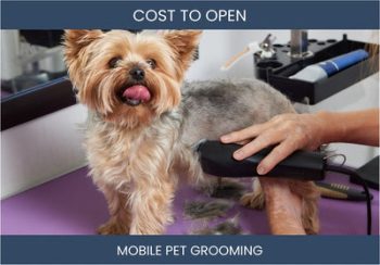 How Much Does It Cost To Start Mobile Pet Grooming