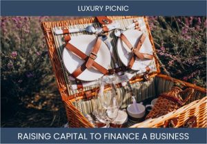 The Complete Guide To Luxury Picnic Business Financing And Raising Capital