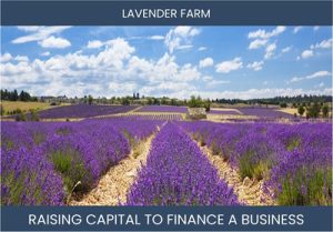 The Complete Guide To Lavender Farming Business Financing And Raising Capital