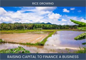 The Complete Guide To Rice Farming Business Financing And Raising Capital