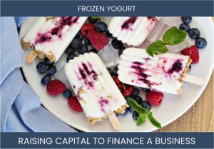 The Complete Guide To Frozen Yogurt Business Financing And Raising Capital