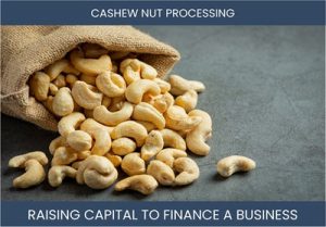 The Complete Guide To Cashew Nut Processing Business Financing And Raising Capital