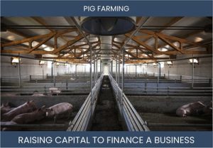 The Complete Guide To Pig Farm Business Financing And Raising Capital