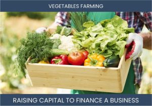 The Complete Guide To Vegetable Farming Business Financing And Raising Capital
