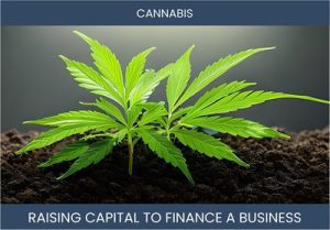 The Complete Guide To Cannabis Farming Business Financing And Raising Capital
