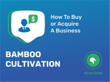 Buy or Acquire Bamboo Cultivation Business: Your Checklist