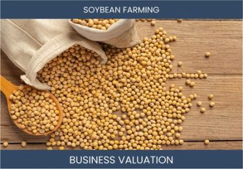 Valuing a Soy Farming Business: Key Considerations and Methods