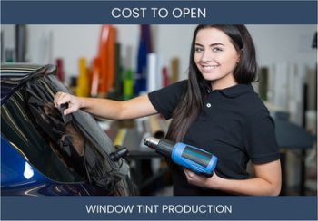 How Much Does It Cost To Start Window Tint Production Business