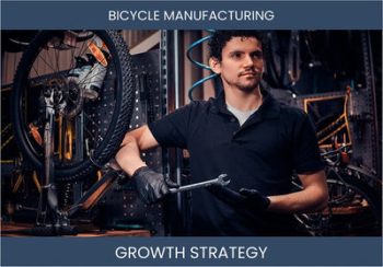 Bicycle Manufacturing Sales and Profit Strategies