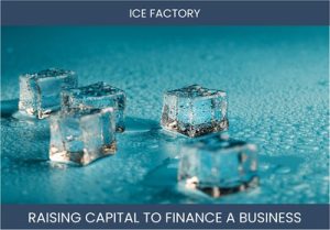The Complete Guide To Ice Factory Business Financing And Raising Capital
