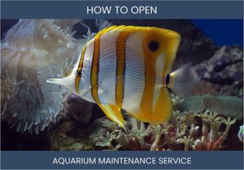How to Start a Profitable Aquarium Maintenance Service Business
