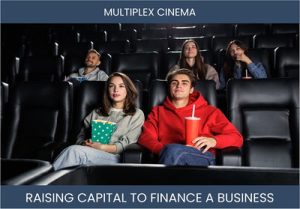 The Complete Guide To Multiplex Cinema Business Financing And Raising Capital