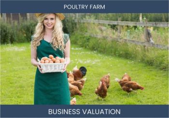 Valuing Your Poultry Farm Business: Key Considerations and Methods