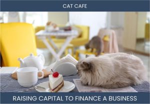 The Complete Guide To Cat Cafe Business Financing And Raising Capital