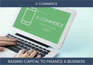 The Complete Guide To E-Commerce Business Financing And Raising Capital