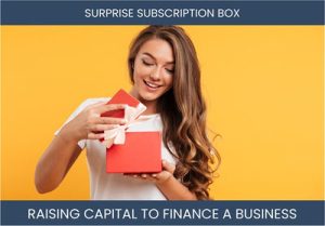 The Complete Guide To Surprise Subscription Box Business Financing And Raising Capital